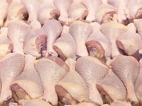 Việt Nam nhập hơn 100.000 tấn thịt lợn và gà giá rẻ 6 tháng đầu năm