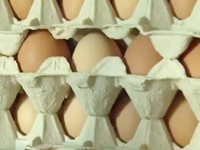 Mỹ: Thu hồi trứng gà công nghiệp nghi nhiễm khuẩn salmonella