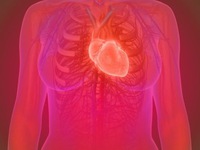 Tuổi thọ của tim quyết định các bệnh tim mạch và nguy cơ đột quỵ