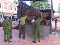 Đắk Lắk phát hiện xe tải chở 31 hộp gỗ lậu