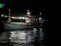 Cứu thuyền viên tàu cá Đà Nẵng gặp nạn trên biển