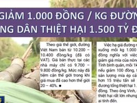 Lối đi nào cho ngành mía đường Việt Nam?