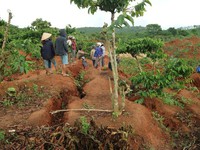 Phát hiện vết sụt lún lớn ở huyện Đăk Tô, Kon Tum