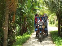 Du lịch dưới tán dừa - Tour khám phá mới ở miền Tây