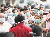 Dịch cúm lợn bùng phát mạnh tại bang Maharashtra, Ấn Độ