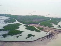 Bà Rịa - Vũng Tàu thu hồi dự án cảng biển hơn 10.000 tỷ đồng
