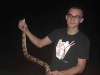 Thiếu niên bị phạt vì nuôi 10 con rắn độc làm... thú cưng