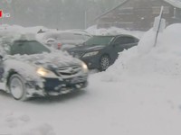Mỹ: Bão tuyết, mưa lớn khiến ít nhất 5 người thiệt mạng
