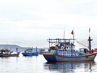 Ngư dân Quảng Ngãi nói không với đánh bắt hải sản trái phép