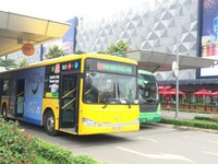 Khai trương tuyến bus sân bay Tân Sơn Nhất - Vũng Tàu