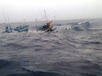 Tàu cá chạy tránh bão, một ngư dân rơi xuống biển mất tích