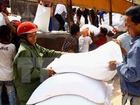 Hỗ trợ hơn 3.700 tấn gạo cho người dân nghèo ở 6 tỉnh ăn Tết