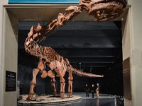 Cuộc chiến giành danh hiệu loài khủng long lớn nhất thế giới