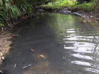 Tạm giữ 2 đối tượng đổ dầu thải ra nguồn nước sông Đà