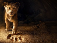 “The Lion King” sẽ không tranh giải Oscar 2020