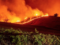 Cháy rừng khủng khiếp tại Mỹ, hàng ngàn người phải sơ tán khẩn cấp