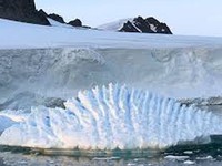 Băng ở Nam Cực đang mỏng dần ở mức độ chưa từng thấy