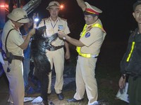Đắk Lắk lại bắt giữ một xe khách chở động vật hoang dã trái phép