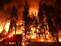Cháy rừng tại Mỹ lan sang Mexico