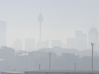 Australia đóng cửa hơn 100 trường học vì khói bụi cháy rừng