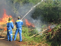 Diễn tập phòng cháy chữa cháy rừng cấp quốc gia