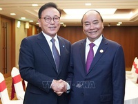 Thủ tướng tiếp Tổng lãnh sự danh dự Việt Nam tại Busan