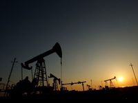 Giá dầu giảm khi dự trữ dầu thô của Mỹ bất ngờ tăng