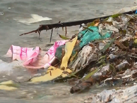 Ô nhiễm rác thải nhựa trên biển Việt Nam - Thực trạng và giải pháp