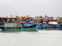 Khu vực Thanh Hóa - Bình Thuận chủ động ứng phó với áp thấp nhiệt đới