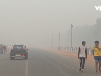 New Delhi cấm xe ô tô theo biển chẵn, lẻ để giảm ô nhiễm