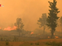 Nguy cơ gia tăng các vụ cháy rừng nguy hiểm ở Australia