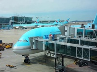 Các hãng hàng không Hàn Quốc sẽ không thu phụ phí nhiên liệu trên các tuyến bay quốc tế