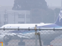 Máy bay Nhật Bản hạ cánh khẩn cấp do cháy động cơ