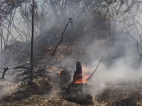 Cháy rừng phòng hộ ở Quảng Ninh, gần 500ha rừng bị thiêu rụi