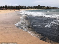 Biển Australia biến màu đen do thảm hoạ cháy rừng