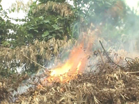 Nguy cơ cao xảy ra cháy rừng ở Lào Cai