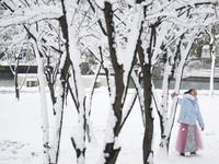 Bắc Kinh phát cảnh báo vàng do tuyết rơi