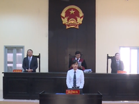 Công ty Phan Thị thua kiện trong vụ tranh chấp bản quyền Thần đồng đất Việt