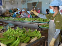 Đưa Việt Nam vào top 10 về chế biến nông sản của thế giới