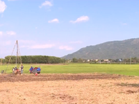 Đồng Nai: Người dân nỗ lực cứu lúa mùa khô hạn