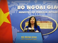 Việt Nam đã tiến hành nhiều biện pháp bảo hộ công dân Đoàn Thị Hương