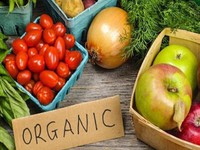 Xu hướng Organic - Sống xanh, sống khỏe