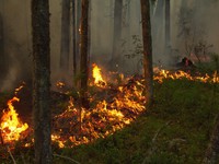 Hàng nghìn người sơ tán do cháy rừng lan rộng ở Trung Quốc