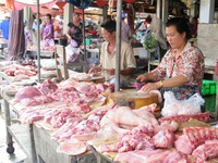 Phối hợp hướng dẫn người dân sản xuất và sử dụng thịt lợn an toàn