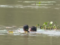 Cảnh báo tình trạng trẻ đuối nước ở Đắk Lắk