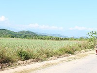 'Sốt' đất bất thường ở vùng nông thôn Khánh Hòa