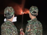 Cháy rừng phòng hộ ở Hòn Đất, Kiên Giang