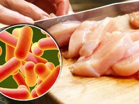 Séc lại phát hiện thịt gà nhập khẩu nhiễm khuẩn salmonella