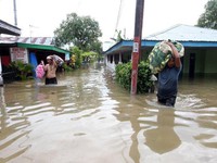 8 công ty bị cáo buộc là nguyên nhân gây lũ lụt ở Bengkulu, Indonesia