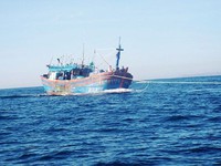 BĐBP tỉnh Quảng Ninh cứu nạn tàu cá gặp nạn